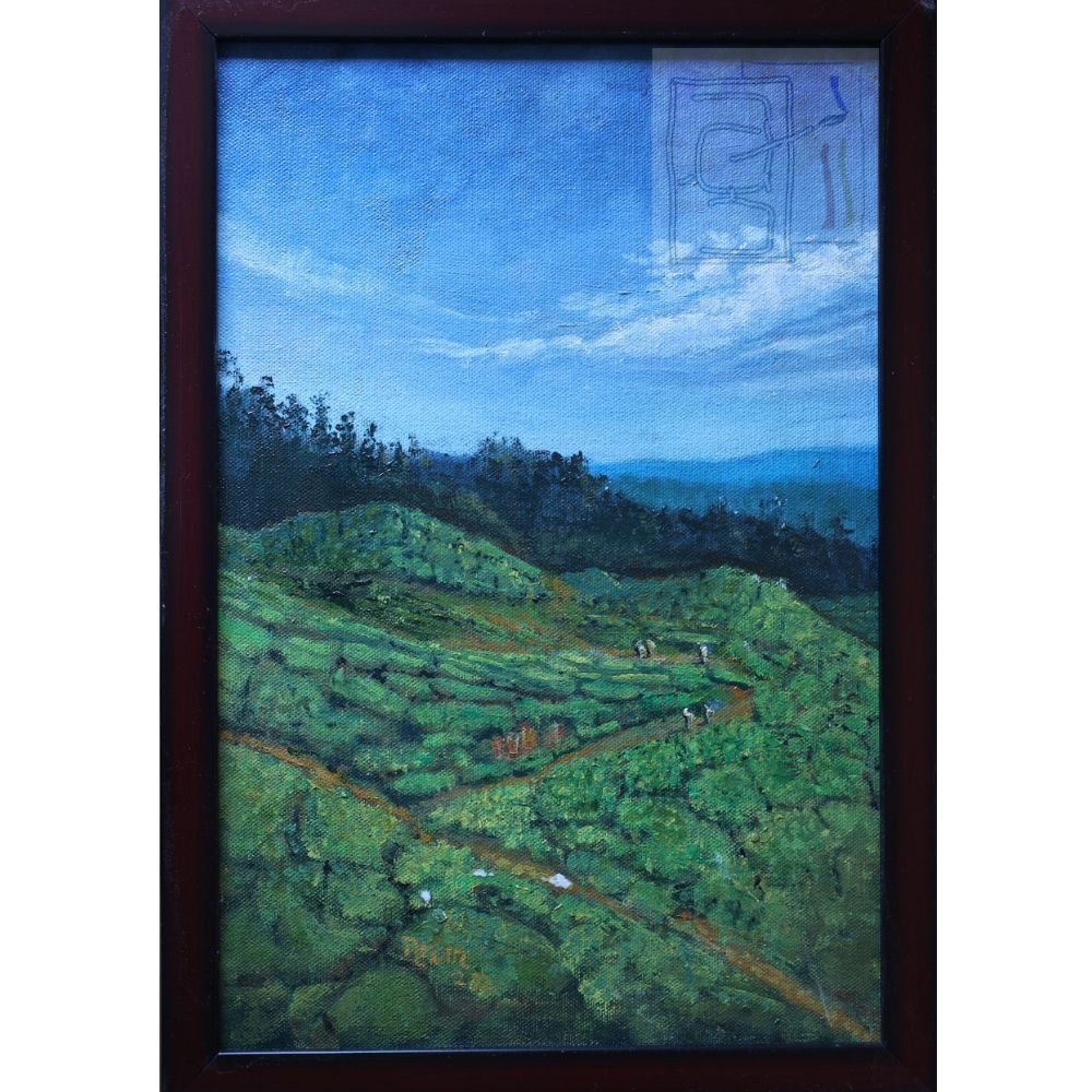 Walk thru the tea garden