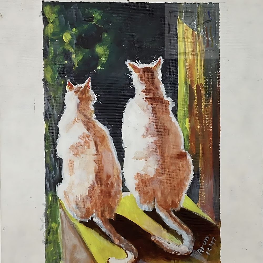 Cat’s Morning