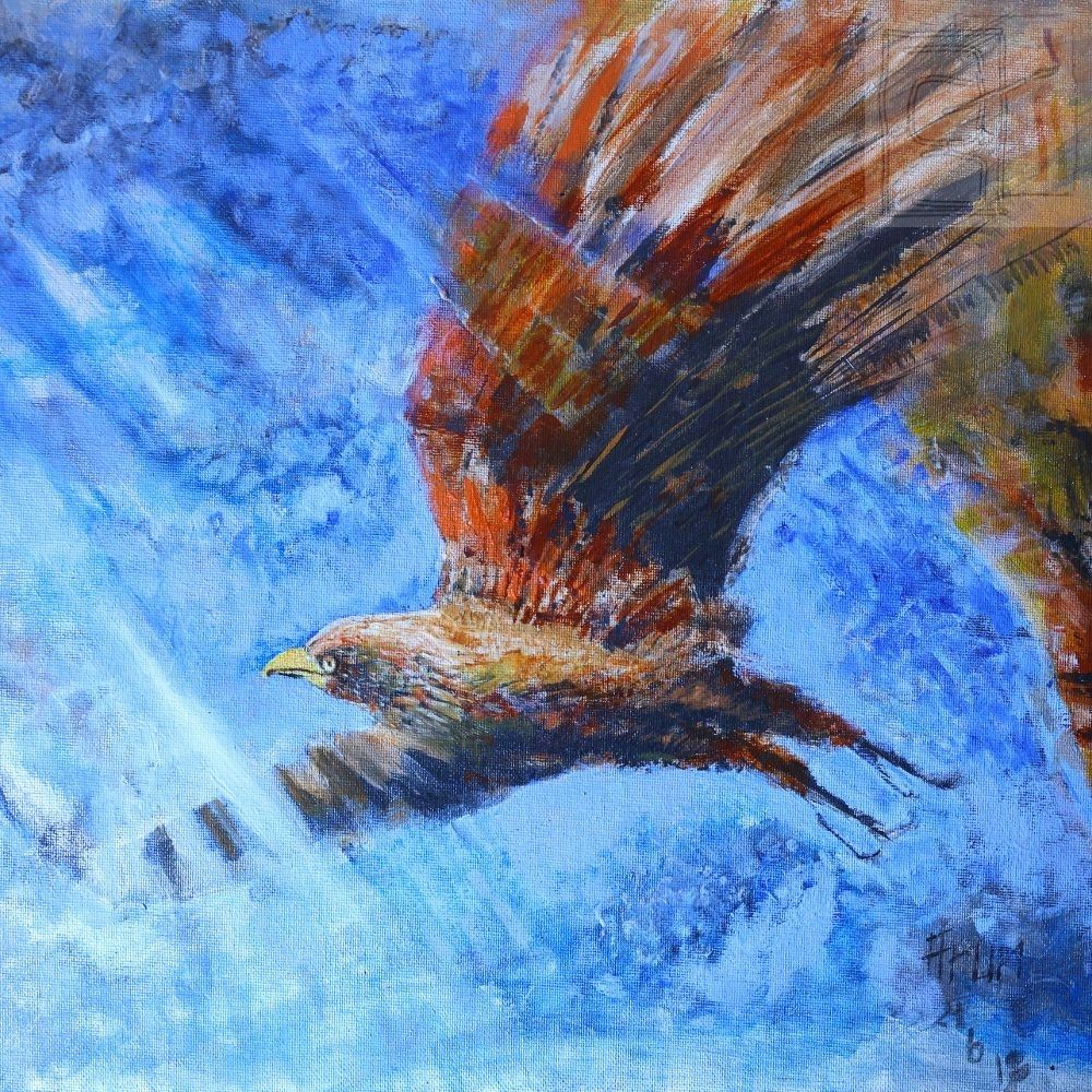 Flying high