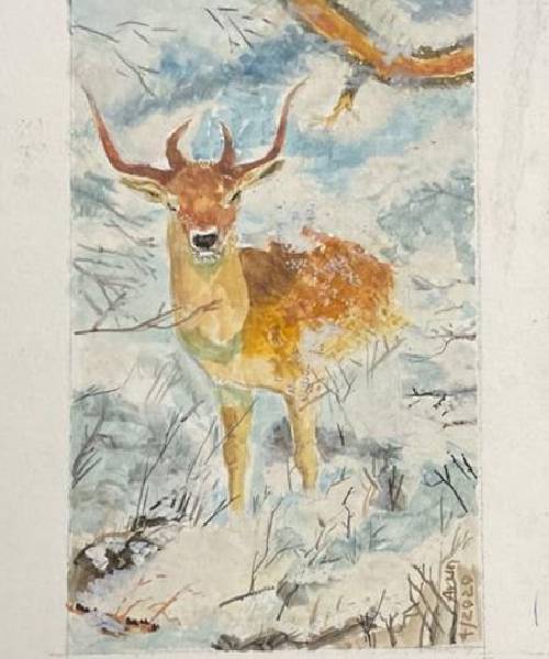 Reindeer